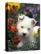 West Highland Terrier / Westie Puppy Among Flowers-Adriano Bacchella-Premier Image Canvas