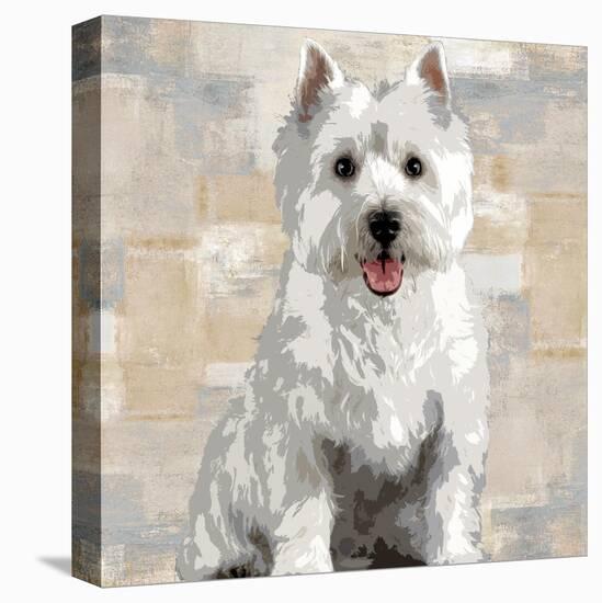 West Highland White Terrier-Keri Rodgers-Stretched Canvas