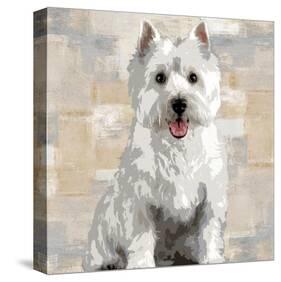 West Highland White Terrier-Keri Rodgers-Stretched Canvas