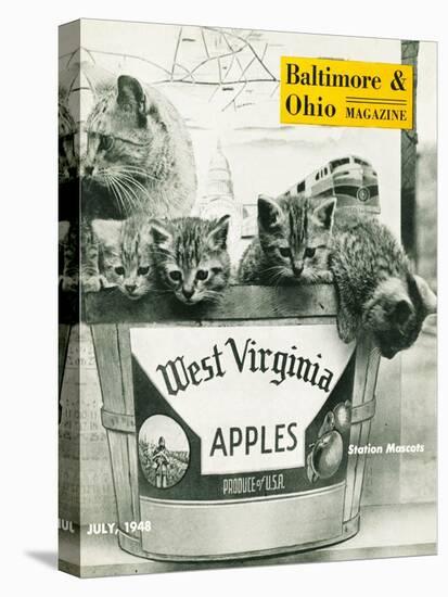 West Virginia Apples-null-Premier Image Canvas