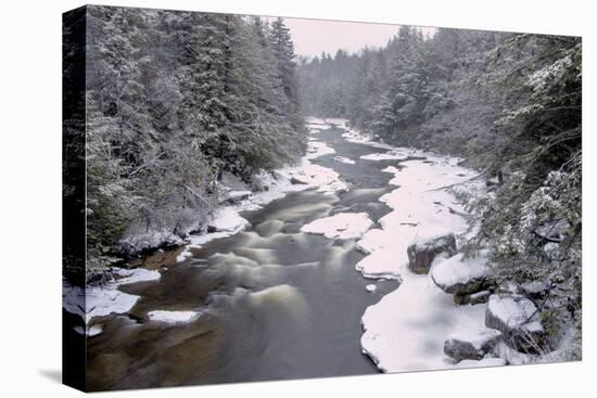 West Virginia, Blackwater Falls SP. Stream in Winter Landscape-Jay O'brien-Premier Image Canvas
