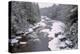 West Virginia, Blackwater Falls SP. Stream in Winter Landscape-Jay O'brien-Premier Image Canvas