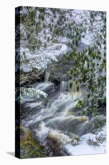 West Virginia, Blackwater Falls State Park. Blackwater River in Winter-Jaynes Gallery-Premier Image Canvas