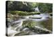 Westburton Waterfall, Westburton, Yorkshire Dales, Yorkshire, England, United Kingdom, Europe-Markus Lange-Premier Image Canvas