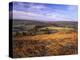 Westerdale from Castleton Rigg, North York Moors National Park, North Yorkshire, England-Gary Cook-Premier Image Canvas