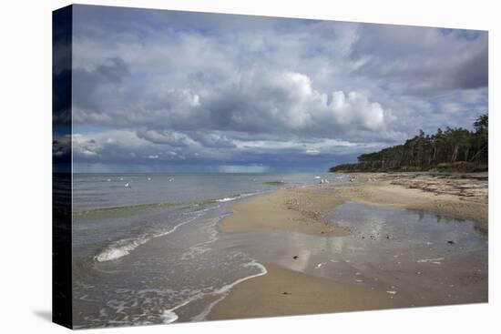 Western Beach of the Darss Peninsula-Uwe Steffens-Premier Image Canvas