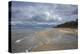 Western Beach of the Darss Peninsula-Uwe Steffens-Premier Image Canvas