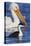 Western Grebe and American White Pelican-Ken Archer-Premier Image Canvas