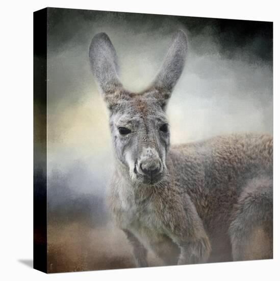 Western Grey Kangaroo-Jai Johnson-Premier Image Canvas