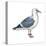 Western Gull (Larus Occidentalis), Birds-Encyclopaedia Britannica-Stretched Canvas