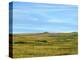 Western Landscape Photo III-James McLoughlin-Premier Image Canvas