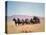 Western Stagecoach Pulled by a Six Mule Team-null-Premier Image Canvas