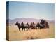 Western Stagecoach Pulled by a Six Mule Team-null-Premier Image Canvas