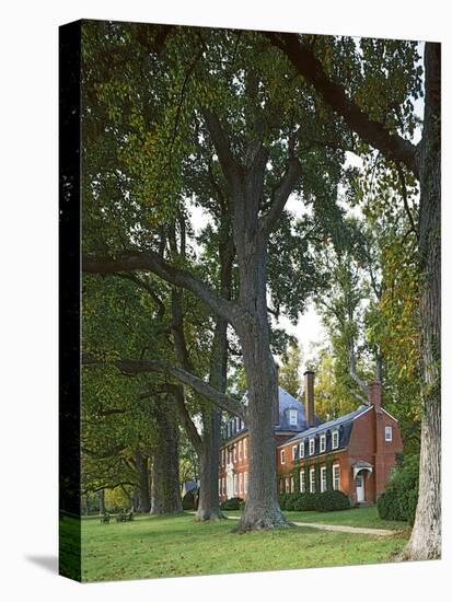 Westover Plantation, Tulip Poplars, Charles City County, Virginia, USA-Charles Gurche-Premier Image Canvas