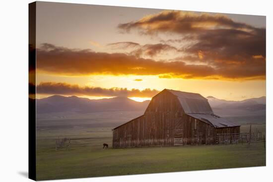 Wet Mountain Barn II-Dan Ballard-Stretched Canvas