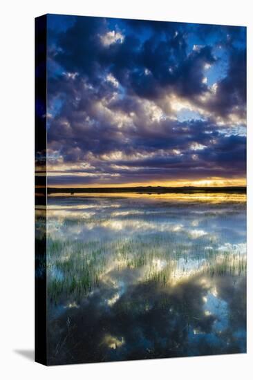 Wetlands at Sunrise, Bosque Del Apache National Wildlife Refuge, New Mexico, Usa-Russ Bishop-Premier Image Canvas