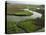 Wetlands of the Cooper River, North Charleston Area, South Carolina, USA-Maxwell Duncan-Premier Image Canvas