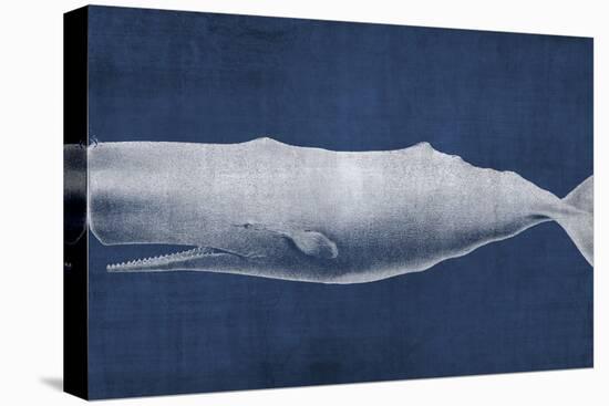 Whale 1 V2-Denise Brown-Stretched Canvas