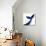 Whale 1-Kimberly Allen-Stretched Canvas displayed on a wall