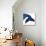 Whale 2-Kimberly Allen-Stretched Canvas displayed on a wall