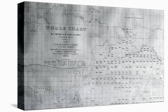 Whale Chart of the North Pacific, 1851-American School-Premier Image Canvas
