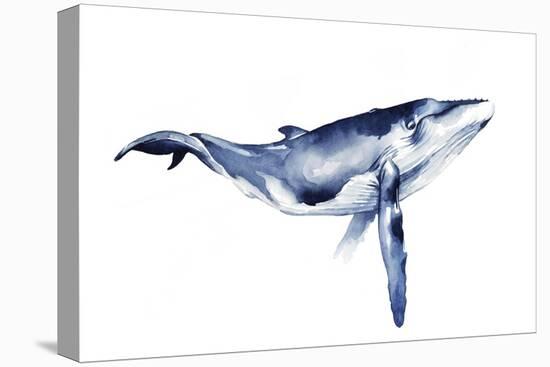 Whale Portrait I-Grace Popp-Stretched Canvas