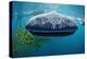 Whale Shark, Rhincodon Thypus, Usa, Haiwaii, Pacific Ocean-Reinhard Dirscherl-Premier Image Canvas