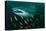 Whale shark swimming through a school of Goldband fusiliier-Sirachai Arunrugstichai-Premier Image Canvas
