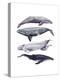 Whale Stack I-Grace Popp-Stretched Canvas