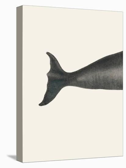 Whale Tight Crop I Handcolored Sealife Lithograph 1824-Vintage Poster-Premier Image Canvas