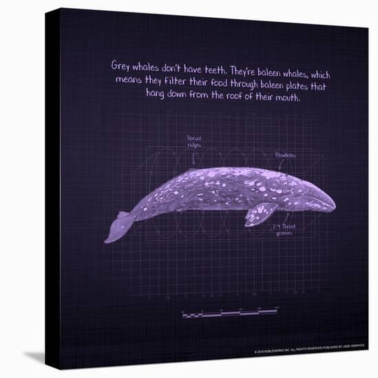 Whaleprint II-null-Stretched Canvas