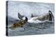 Whalers in Longboats Lancing a Whale with Harpoons, 1800s-null-Premier Image Canvas