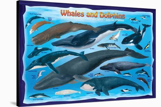 Whales and Dolphins for Kids-null-Stretched Canvas