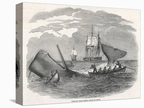 Whaling in the South Seas-W.j Linton-Premier Image Canvas