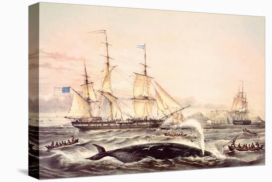 Whaling Off the Cape of Good Hope-Louis Lebreton-Premier Image Canvas