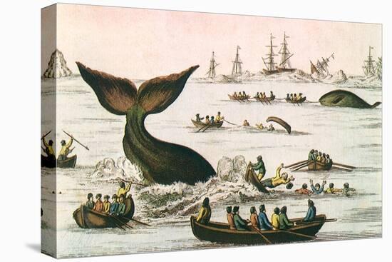 Whaling Scene, 1750-null-Premier Image Canvas