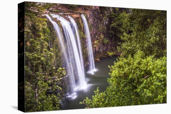 Whangarei Falls, a Popular Waterfall in the Northlands Region of North Island, New Zealand, Pacific-Matthew Williams-Ellis-Premier Image Canvas