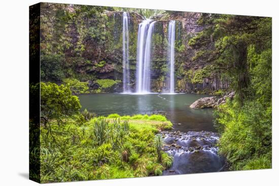 Whangarei Falls, a Popular Waterfall in the Northlands Region of North Island, New Zealand, Pacific-Matthew Williams-Ellis-Premier Image Canvas