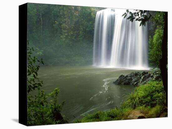 Whangarei Falls, Whangarei, Northland, New Zealand-David Wall-Premier Image Canvas