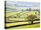 Wharfedale Near Appletreewick, Yorkshire Dales, Yorkshire, England, United Kingdom, Europe-Mark Sunderland-Premier Image Canvas