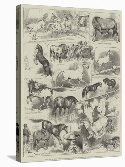 What Can Be Done with Wild Horses, Sketches at the Royal Aquarium, Westminster-Alfred Courbould-Premier Image Canvas
