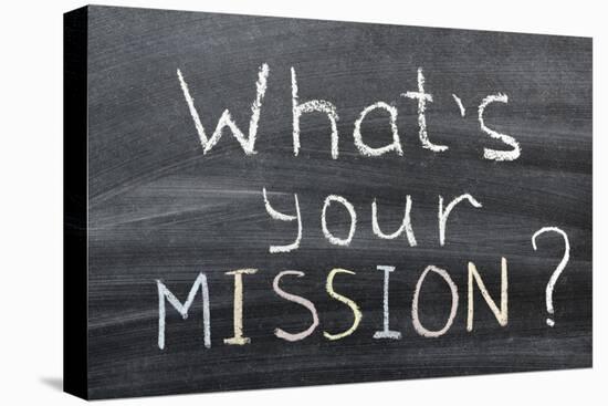 What is Your Mission-Yury Zap-Premier Image Canvas