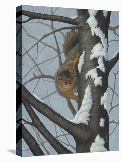 What's Going on - Fox Squirrel-Robert Wavra-Premier Image Canvas