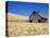 Wheat Crop Growing in Field By Barn-Terry Eggers-Premier Image Canvas