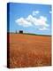 Wheat Field-null-Premier Image Canvas