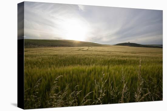 wheat field-Viviane Fedieu Danielle-Premier Image Canvas
