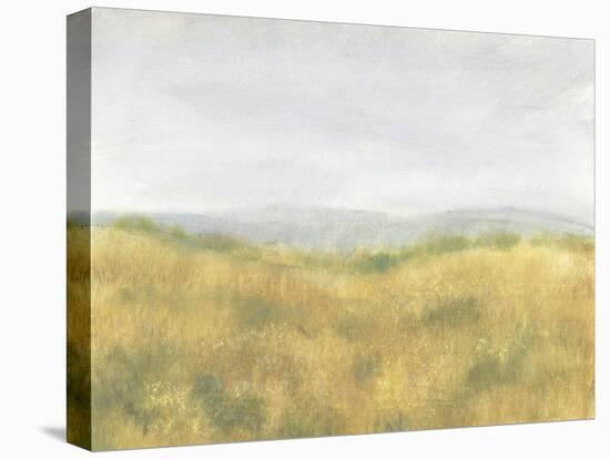 Wheat Fields I-Tim OToole-Stretched Canvas