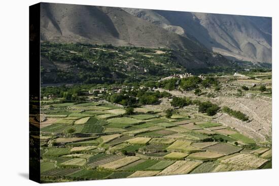 Wheat fields in the Panjshir Valley, Afghanistan, Asia-Alex Treadway-Premier Image Canvas