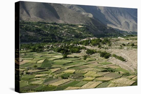 Wheat fields in the Panjshir Valley, Afghanistan, Asia-Alex Treadway-Premier Image Canvas
