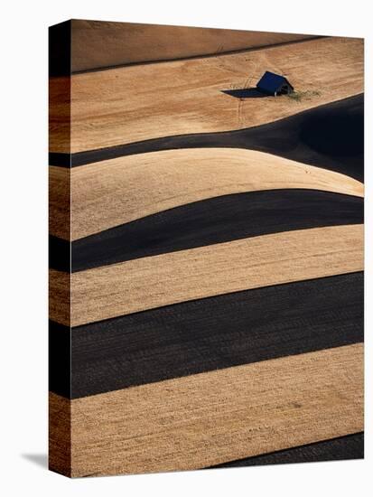 Wheat Fields on the Palouse Hills-Joseph Sohm-Premier Image Canvas